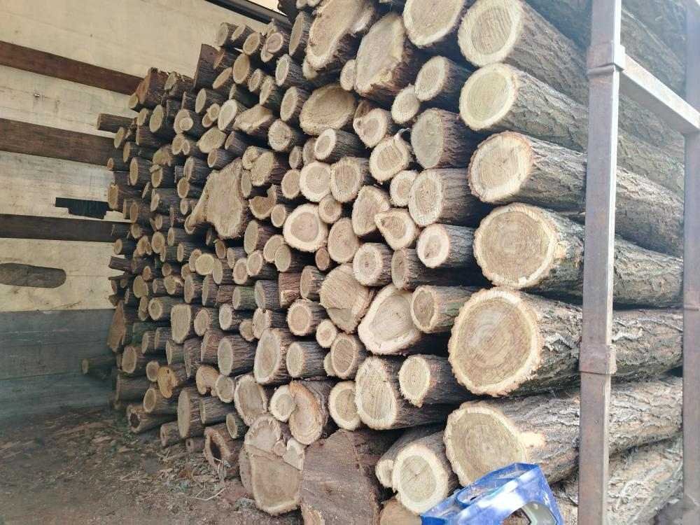 drva za ogrev