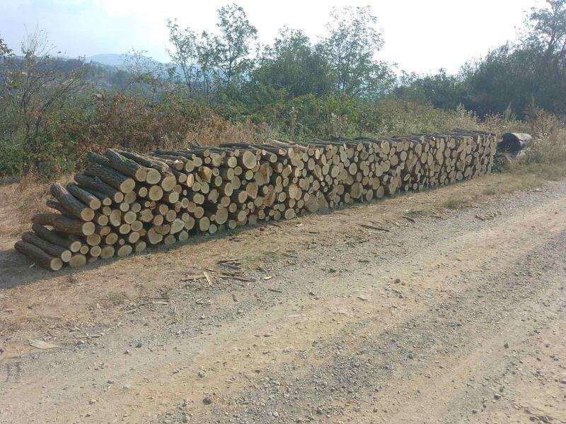 spakovana iscepana drva pored puta
